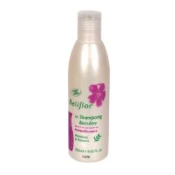 Shampoing Antipelliculaire - Flacon 250 ml - Beliflor