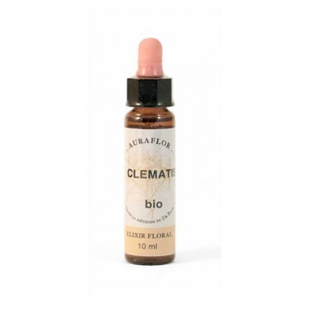Clématite Fleurs de Bach Bio Compte-gouttes - Flacon de 10 ml - Laboratoire Dioter