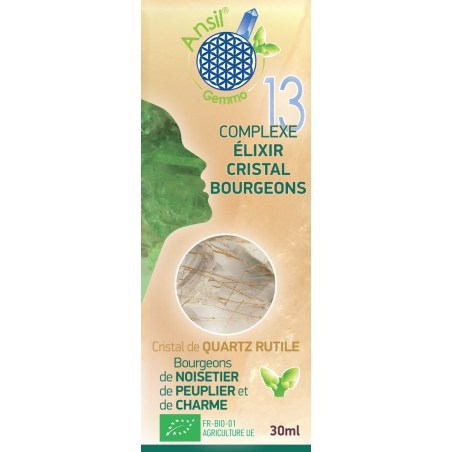 Étui Complexe N°13 - Élixir de quartz rutile et bourgeons de noisetier, peuplier, charme Bio - 30 ml - Ansil Étui Complexe N°13 - Élixir de quartz rutile et bourgeons de noisetier, peuplier, charme Bio - 30 ml - Ansil