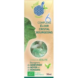 Complexe N°6 - Élixir de Zéolite et bourgeons de genévrier, noyer, romarin Bio - 30 ml - Ansil