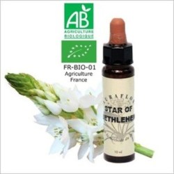 Etoile de Bethléem Fleurs de Bach avec labels Bio Compte-gouttes - Flacon de 10 ml - Laboratoire Dioter avec labels