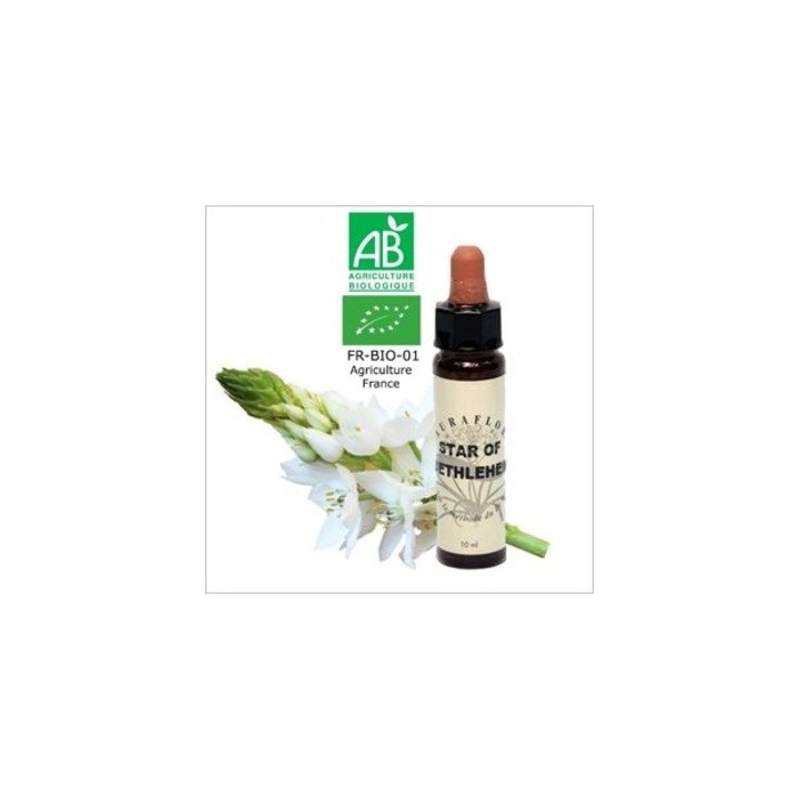 Fleur de Bach Étoile de Bethléem Bio – Star of Bethlehem – 10 ml – Dioter avec labels