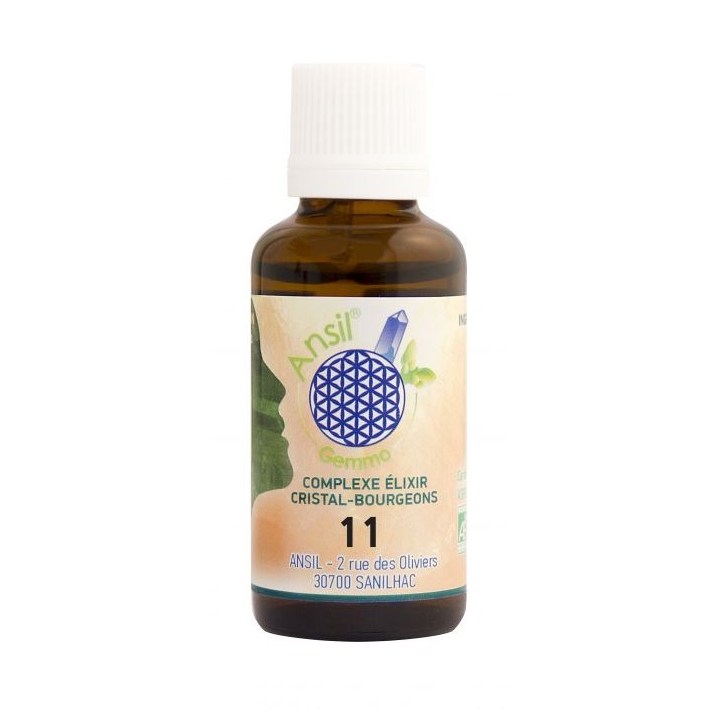 Flacon Complexe N°11 - Élixir de grenat et bourgeons de chêne, marronnier, sapin Bio - 30 ml - Ansil