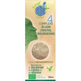 Etui Complexe N°4 - Élixir d'hémimorphite et bourgeons d'églantier, cassis, séquoia Bio - 30 ml - Ansil 2025