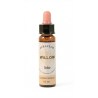 Saule Fleurs de Bach Bio Compte-gouttes - Flacon de 10 ml - Laboratoire Dioter