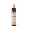 Gentiane Fleurs de Bach Bio Compte-gouttes - Flacon de 10 ml - Laboratoire Dioter
