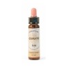 Plumbago Fleurs de Bach Bio Compte-gouttes - Flacon de 10 ml - Laboratoire Dioter
