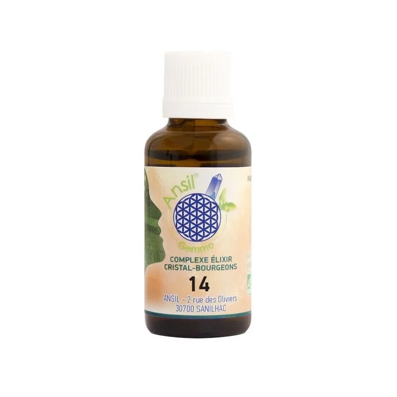 Élixir de fluorite et bourgeons de sapin pectiné, aulne glutineux, romarin Bio - N°14 - 30 ml - Ansil - 2021 Élixir de fluorite et bourgeons de sapin pectiné, aulne glutineux, romarin Bio - N°14 - 30 ml - Ansil - 2021