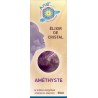 Étui Améthyste - Élixir de Cristaux - 30 ml - Ansil 