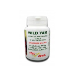 Yam Sauvage – 80 gélules – Vital Osmose