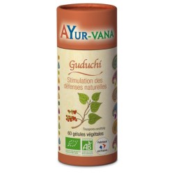 Guduchi Bio - Pilulier de 60 gélules végétales - Ayurvana 2024