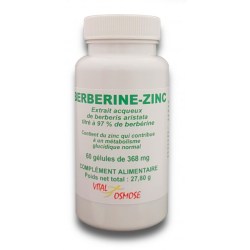 Berberine à 97% 368 mg - 60 gélules végétales - Vital Osmose