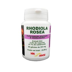 Rhodiola Rosea en extrait – 60 gélules – Vital Osmose