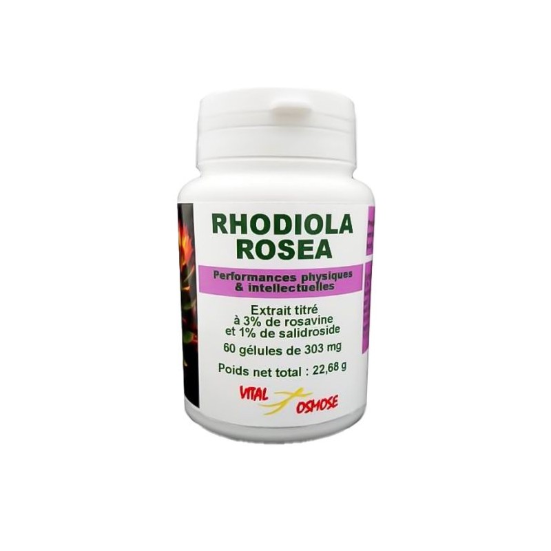 Rhodiola Rosea en extrait – 60 gélules – Vital Osmose