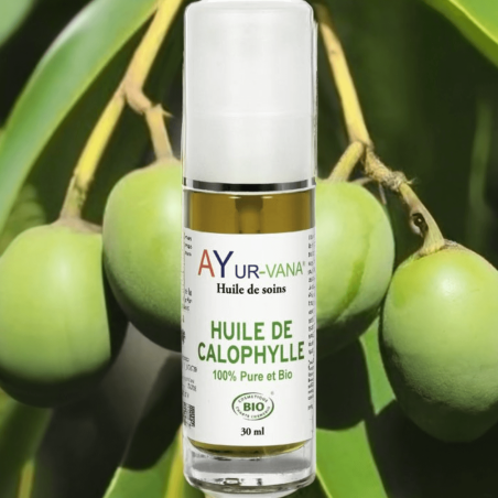 Huile de Calophylle Bio - Flacon de 30 ml - Ayurvana 2025