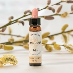 🌿 Fleur de Bach Saule (Willow) Bio - 10 ml - Dioter 2025
