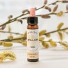 🌿 Fleur de Bach Saule (Willow) Bio - 10 ml - Dioter 2025