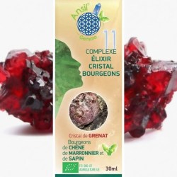 🌿Complexe N°11 - Élixir de grenat et bourgeons de chêne, marronnier, sapin Bio - 30 ml - Ansil 2025