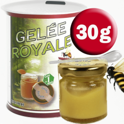 🍯 Gelée Royale Bio -  Pot de 30 g - L’Abeille Forestière 2025