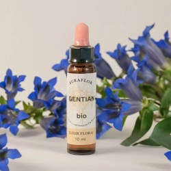 🌼 Fleur de Bach Gentiane Bio – 10 ml – Dioter 2025