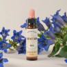 🌼 Fleur de Bach Gentiane Bio – 10 ml – Dioter 2025