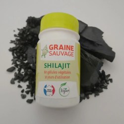 🗻 Shilajit – 60 Gélules – Graine Sauvage 2025