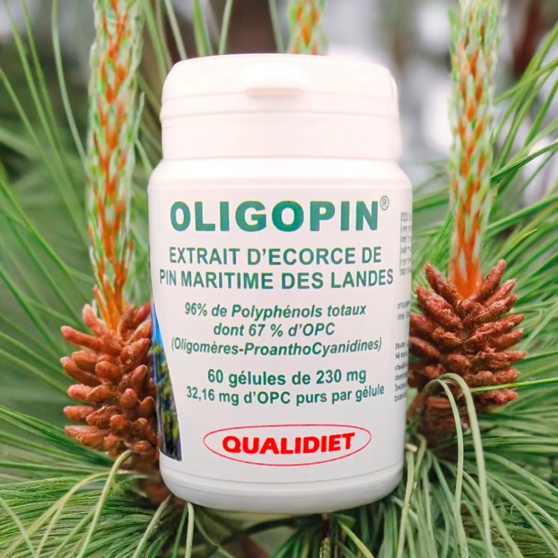 Oligopin MAX OPC 50 – 60 gélules – Vital Osmose 2025
