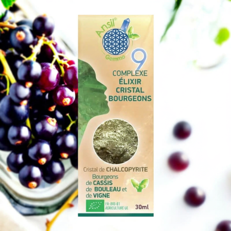 Complexe N°9 bio Chalcopyrite, Cassis, Bouleau et Vigne – 30 ml – Ansil 2025