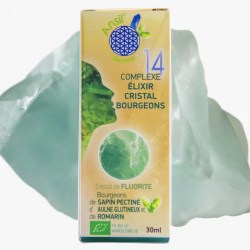 Complexe N°14 bio Fluorite, Sapin pectiné, Aulne glutineux & Romarin – 30 ml – Ansil 2025
