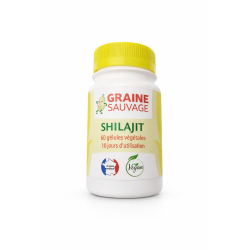 Shilajit – 60 Gélules – Graine Sauvage