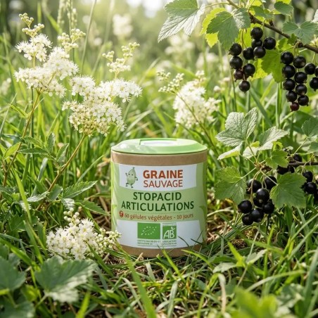 Stopacid Articulations bio avec Chiendent, Reine-des-prés et cassis